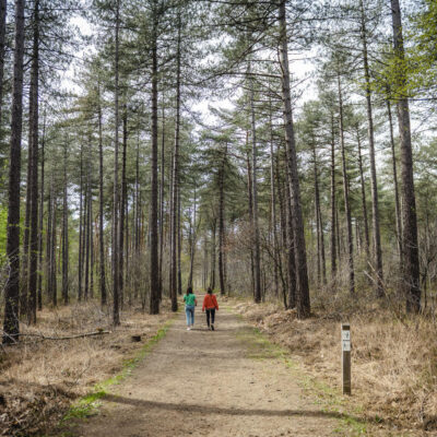Wandelen in Provinciaal Groendomein Hertberg