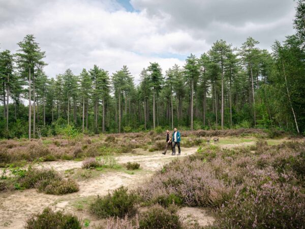 2 mannen op wandel in Hertberg