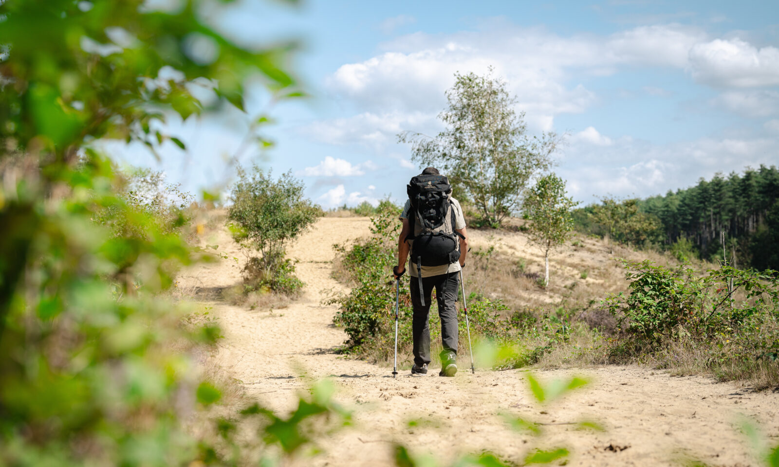 Wandelen Landduinen Averbode