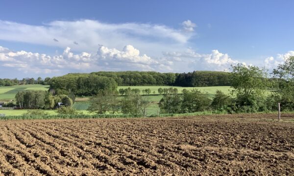 Landbouw op Hagelandse Diestiaanheuvel