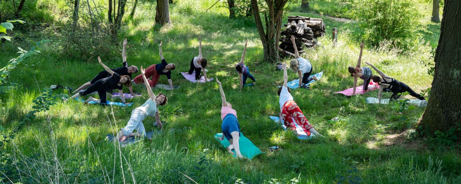 yoga in de natuur
