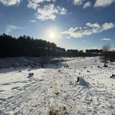 Averbode Bos en Heide in de sneeuw