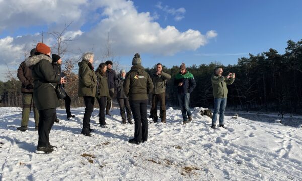 Natuurdag in de sneeuw Averbode Bos en Heide