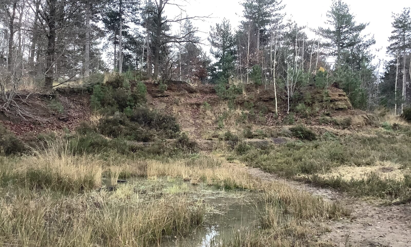 Zandgroeve Weefberg Averbode