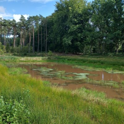 Venherstel in Dassenaarde