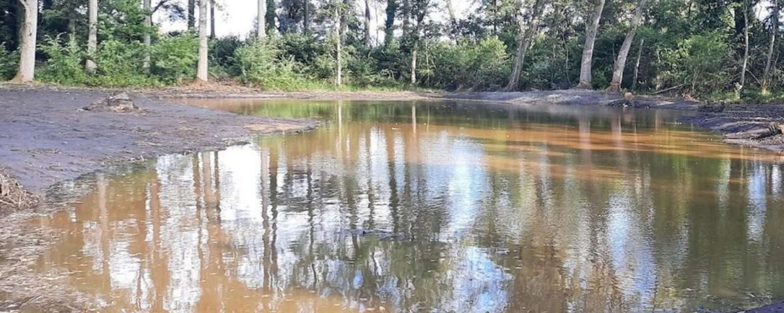 Van weekendvijvers tot natuurlijke wateren