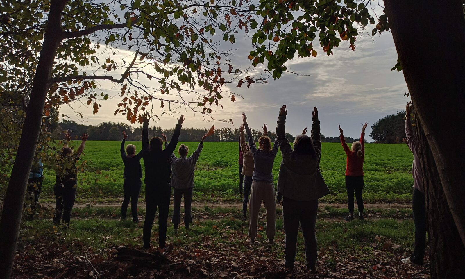 Yoga op de boerderij - Dag van de Stilte 2022
