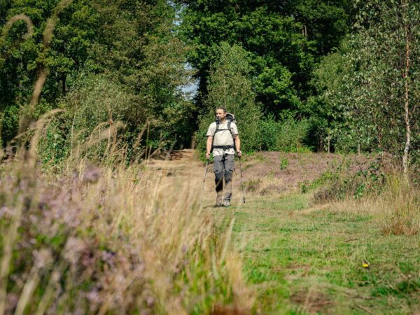 Wandelen Averbode Bos en Heide